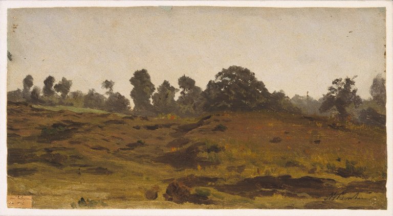 Rosa Bonheur View of a Field